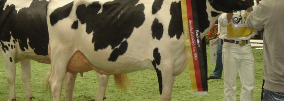 DHV Schau 2009